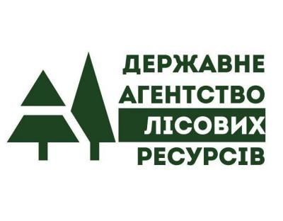 Розроблено законопроект для комплексного вирішення проблеми незаконних рубок, - Голова Держлісагентства Андрій Заблоцький