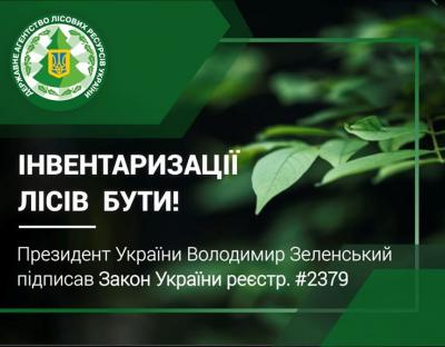 Інвентаризації лісів бути - Президент України підписав Закон