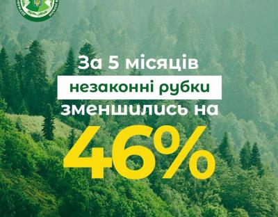 Голова Держлісагентства назвав 7 основних кроків, які були зроблені за півроку роботи