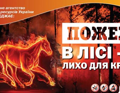 Держлісагентство закликає громадян дотримуватися правил пожежної безпеки під час перебування у лісі
