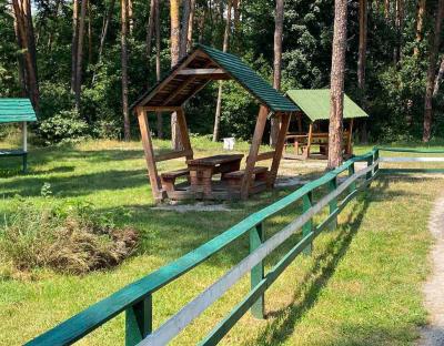 Лісівничі рекреаційні майданчики  - комфортно, безпечно та актуально!