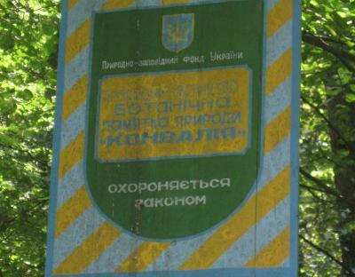Ботанічна пам'ятка природи "Конвалія"