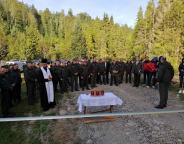 Дорога у майбутнє Карпатського лісу