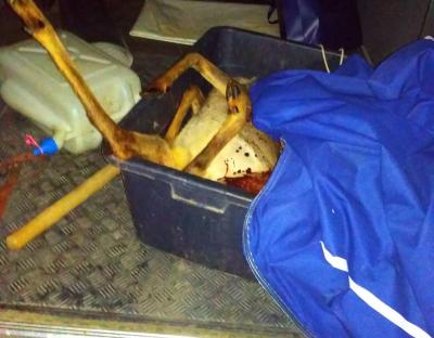 Браконьєру не вдалося поласувати м’ясом козулі