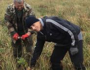 Карантин мине, а ліс ростиме!