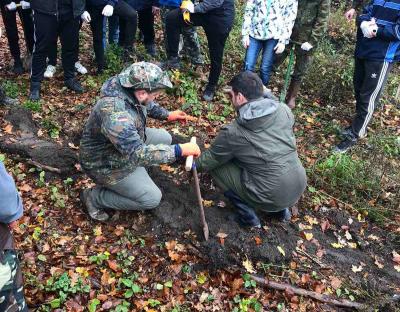 Фанати ФК «Карпати» та ВМГО «Сокіл» садили ліс у Шклівському лісництві