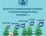 Стала відома вартість новорічних ялинок для українців (ІНФОГРАФІКА)