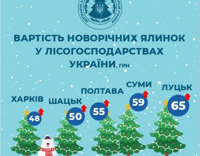 Стала відома вартість новорічних ялинок для українців (ІНФОГРАФІКА)