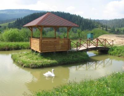 Відпочинок на природі у Сколівських Бескидах