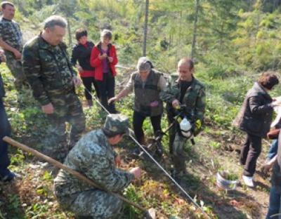 Мікориза відновлює природне живлення