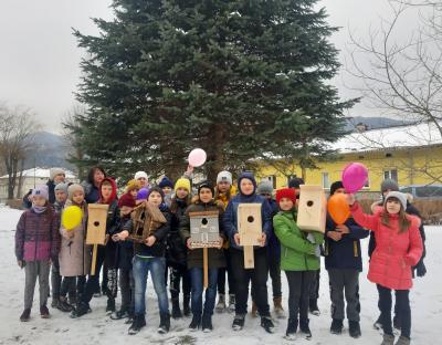 Пізнавальні уроки для учнів у Сколівських Бескидах