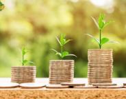 Лісівники наповнюють бюджет 