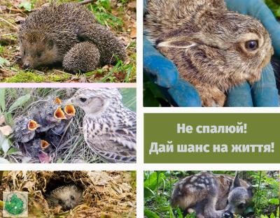 НЕ СПАЛЮЙ! ДАЙ ШАНС НА ЖИТТЯ!