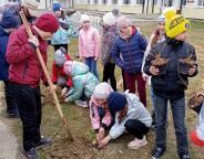 Лісівники спільно з школярами озеленили навчальний заклад