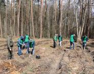 Створюємо ліси разом (відео)
