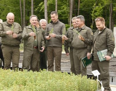 На Львівщині застосовують сучасні технології в лісовому насінництві та вирощуванні садивного матеріалу
