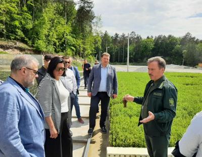 Анатолій Дейнека: Львівщина буде з лісом!
