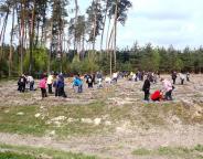205 га лісу минулоріч відновили лісівники Радехівського лісомисливського господарства