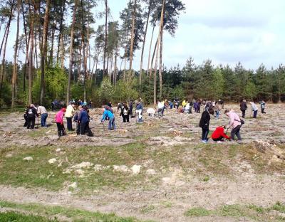 205 га лісу минулоріч відновили лісівники Радехівського лісомисливського господарства