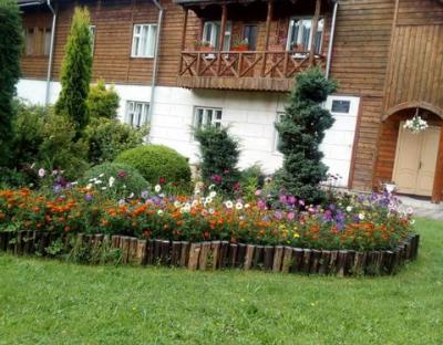 Діяльність Сколівського лісництва