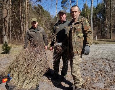 Триває весняна лісокультурна кампанія