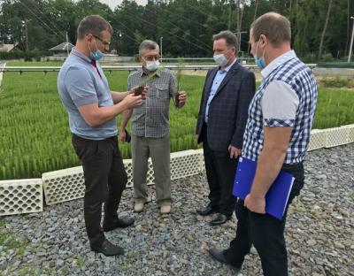 Донеччани вивчали досвід лісівників Львівщини з вирощування садивного матеріалу із закритою кореневою системою