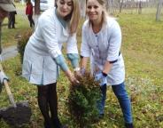 У с. Підгородці проведено озеленення території амбулаторії