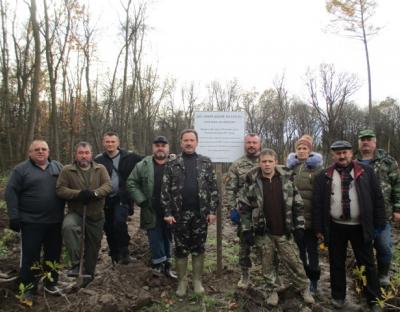 Громадська Рада при Львівському ОУЛМГ: участь у створенні нових лісів