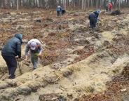 Разом з лісівниками Самбірського лісгоспу місцеві жителі  висадили молоді дерева