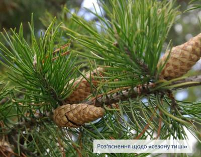 Роз'яснення щодо "сезону тиші" під час дії воєнного стану