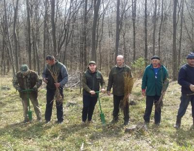 Весняні лісокультурні роботи тривають