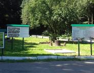 Лісівники облаштовують місця відпочинку 