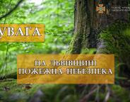 Збережемо ліс від вогню!