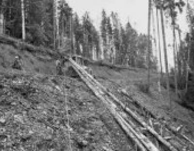 У Карпатах меншає смерек і більшає доріг