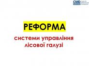 Експерти проаналізували сценарії реформування лісової галузі