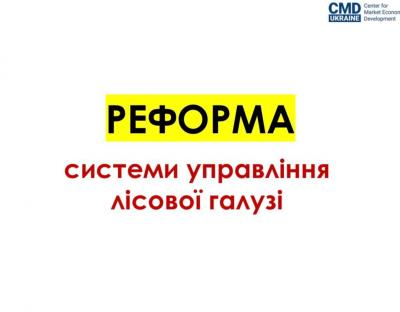 Експерти проаналізували сценарії реформування лісової галузі