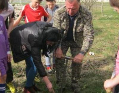У Бродах озеленили територію стадіону