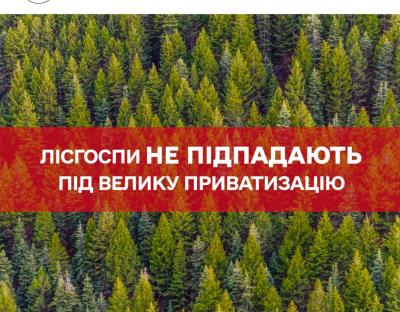 Лісгоспи не підпадають під велику приватизацію