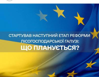 Реформа лісового господарства: що передбачає створення єдиного ДП “Ліси України”