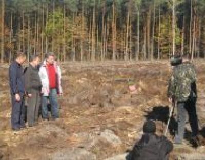 У Бродівському лісгоспі відбулась акція з осінньої посадки лісу