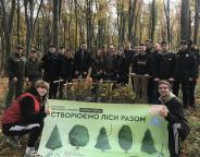 Ще одна тисяча дубів до «Зеленої країни»