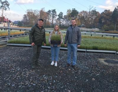 Лісівнича кооперація в дії