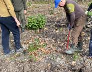 Лісівники і ГО "Добро.Дій" садили ліс у Раневицькому лісництві