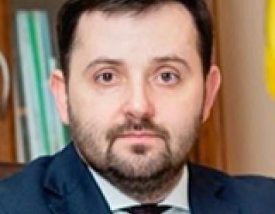 Як побороти незаконні рубки лісу. Колонка Андрія Заблоцького для "Економічної правди"