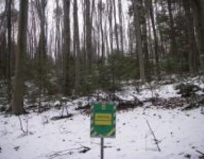 2011 РІК. ПІДБИВАЮЧИ ПІДСУМКИ: Природно-заповідний фонд та рекреація