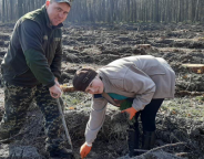 647 тисяч сіянців дерев на 106 га: як в умовах карантину відтворюють ліс на Жовківщині (ФОТО)