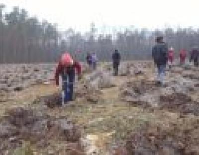 Акція "Майбутнє лісу у твоїх руках" на Радехівщині