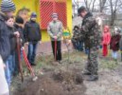У Бродах до озеленення долучаються навіть дошкільнята