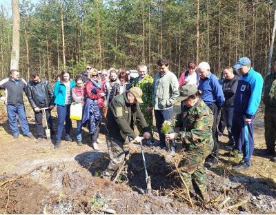 Соціально – екологічна складова функціонування ДП «Радехівське ЛМГ»