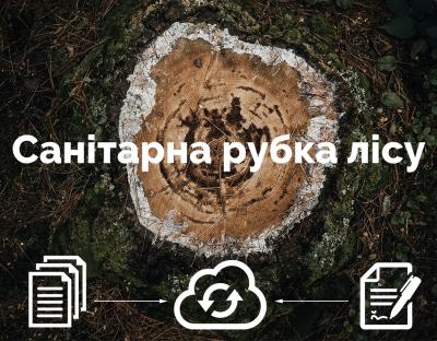 Інформація про санітарні рубки стала максимально відкритою для громадськості